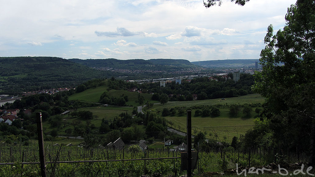 Weinanbau in Jena