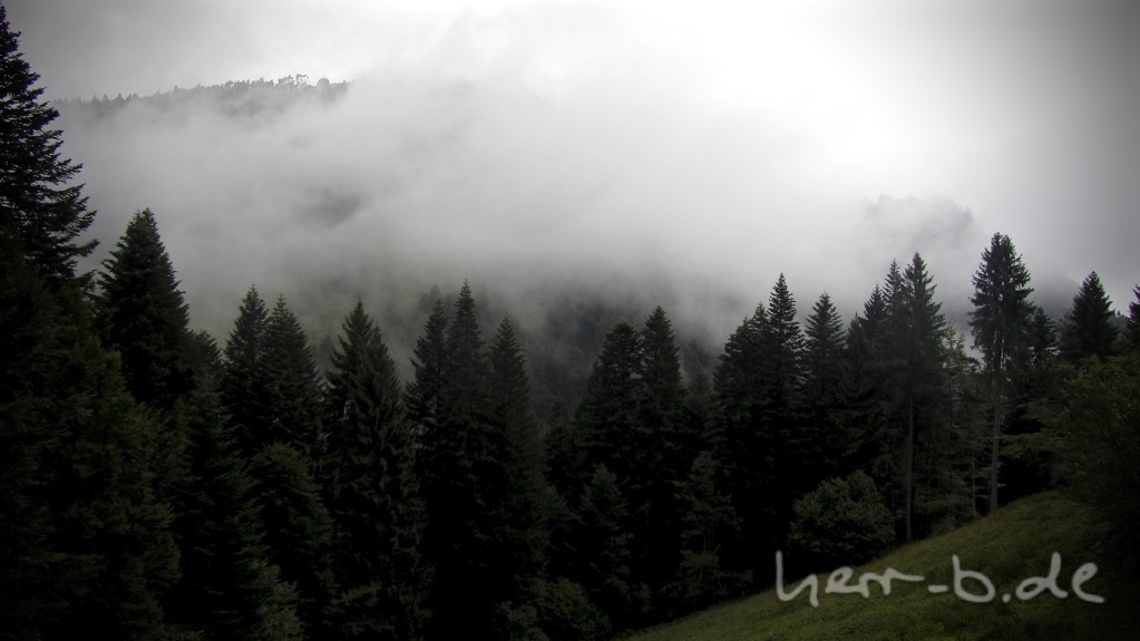 Rauchwolke (ausnahmsweise keine Regenwolke) über dem Wald am Monte Grappa.